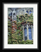 Halls of Ivy, Oxford University, England Fine Art Print