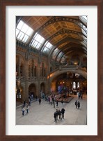 England, London, Natural History Museum Great Hall Fine Art Print