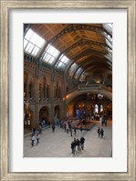 England, London, Natural History Museum Great Hall Fine Art Print