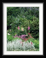 Nash Garden, St James Park, London, England Fine Art Print