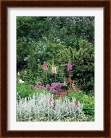 Nash Garden, St James Park, London, England Fine Art Print