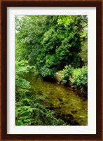 England, Lake District, Cumbria, Flora Fine Art Print