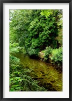 England, Lake District, Cumbria, Flora Fine Art Print