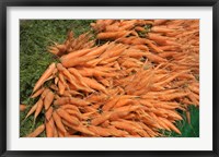 Carrots, England Fine Art Print