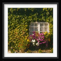 Cottage, Devon, England Fine Art Print
