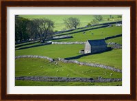 Farmland, Stone Walls and Buildings, near Malham, Yorkshire Dales, North Yorkshire, England Fine Art Print