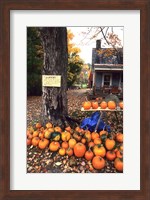 Pumpkins For Sale in New England Fine Art Print