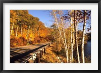 Tranquil Road with Fall Colors in New England Fine Art Print