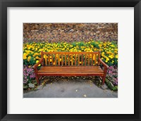 England, Northumberland, Hexham, Park bench Fine Art Print