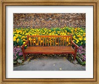 England, Northumberland, Hexham, Park bench Fine Art Print