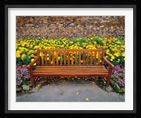 England, Northumberland, Hexham, Park bench Fine Art Print