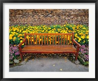 England, Northumberland, Hexham, Park bench Fine Art Print