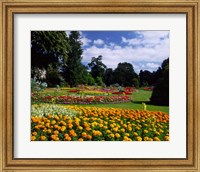 Jephson Gardens at Royal Leamington Spa, Warwickshire, England Fine Art Print