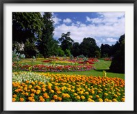 Jephson Gardens at Royal Leamington Spa, Warwickshire, England Fine Art Print