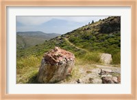Petrified Forest, Sigri, Lesvos, Mithymna, Northeastern Aegean Islands, Greece Fine Art Print