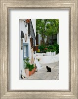 Street View with Black Cat, Manolates, Samos, Aegean Islands, Greece Fine Art Print