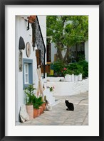 Street View with Black Cat, Manolates, Samos, Aegean Islands, Greece Fine Art Print