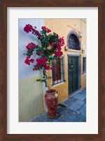 Bougenvillia Vine in Pot, Oia, Santorini, Greece Fine Art Print