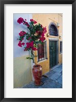 Bougenvillia Vine in Pot, Oia, Santorini, Greece Fine Art Print