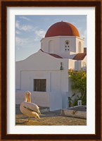 White Pelican Preening, Hora, Mykonos, Greece Fine Art Print