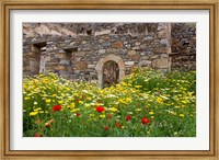 Old building and wildflowers, Island of Spinalonga, Crete, Greece Fine Art Print