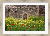 Old building and wildflowers, Island of Spinalonga, Crete, Greece Fine Art Print