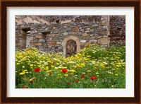 Old building and wildflowers, Island of Spinalonga, Crete, Greece Fine Art Print