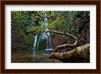 Richtis Gorge near town of Exo Mouliana, Crete, Greece Fine Art Print