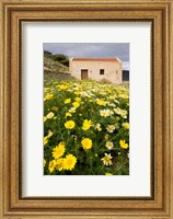 Wildflowers and church of St, Island of Spinalonga, Crete, Greece Fine Art Print