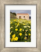 Wildflowers and church of St, Island of Spinalonga, Crete, Greece Fine Art Print