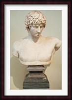 Antinous Bust, Statue, Athens, Greece Fine Art Print