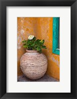 Flower in pot, Crete, Greece Fine Art Print
