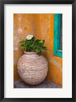 Flower in pot, Crete, Greece Fine Art Print