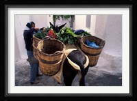 Pack Mule at Market, Santorini, Greece Fine Art Print