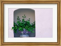 Alcove Plant, Santorini, Greece Fine Art Print