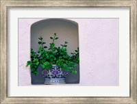 Alcove Plant, Santorini, Greece Fine Art Print