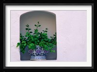 Alcove Plant, Santorini, Greece Fine Art Print