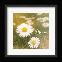 Daisy Dreams Fine Art Print