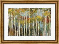 Young Forest III Fine Art Print