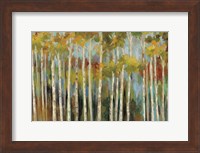Young Forest III Fine Art Print