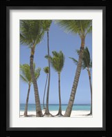 Gran Bavarro I Fine Art Print