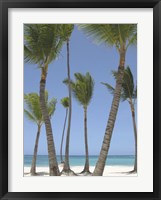 Gran Bavarro I Fine Art Print