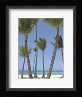 Gran Bavarro I Fine Art Print