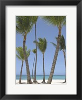 Gran Bavarro I Fine Art Print