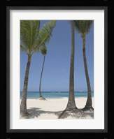 Gran Bavarro II Fine Art Print