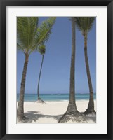 Gran Bavarro II Fine Art Print