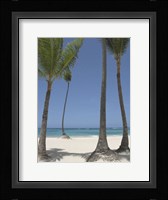 Gran Bavarro II Fine Art Print