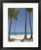 Gran Bavarro II Fine Art Print