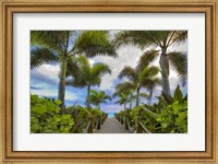 Paradise Path Fine Art Print