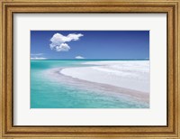 Tropical Simplicity Fine Art Print